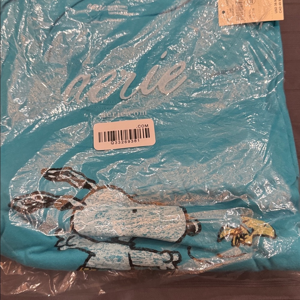 aerie Turquoise Snoopy Graphic Tee - Blue